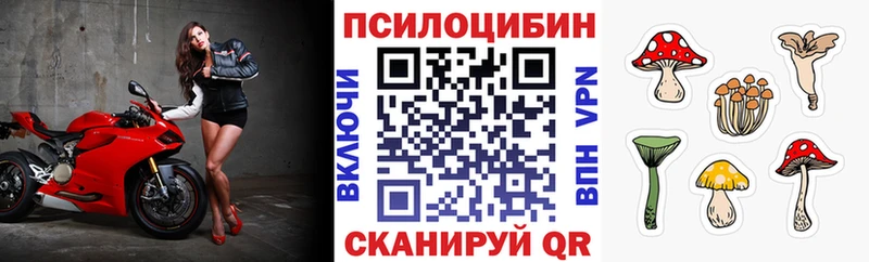 Галлюциногенные грибы Psilocybine cubensis  купить наркотик  кракен зеркало  Баксан 