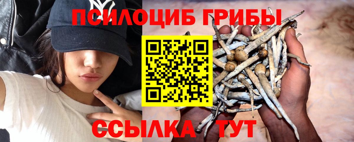 Галлюциногенные грибы мухоморы Баксан