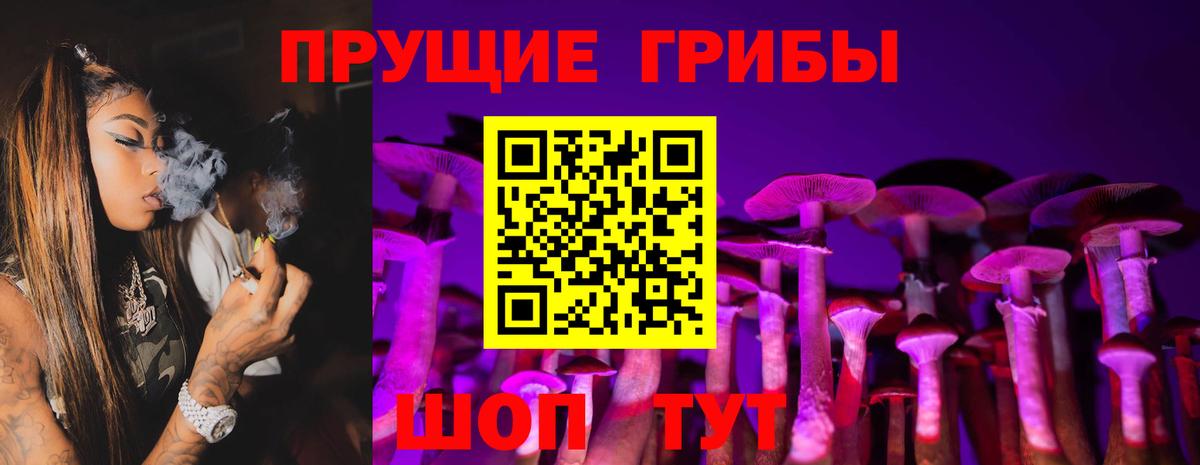 наркота  Вход с VPN  Псилоцибиновые грибы мухоморы  Баксан  Псилоцибиновые грибы мицелий 