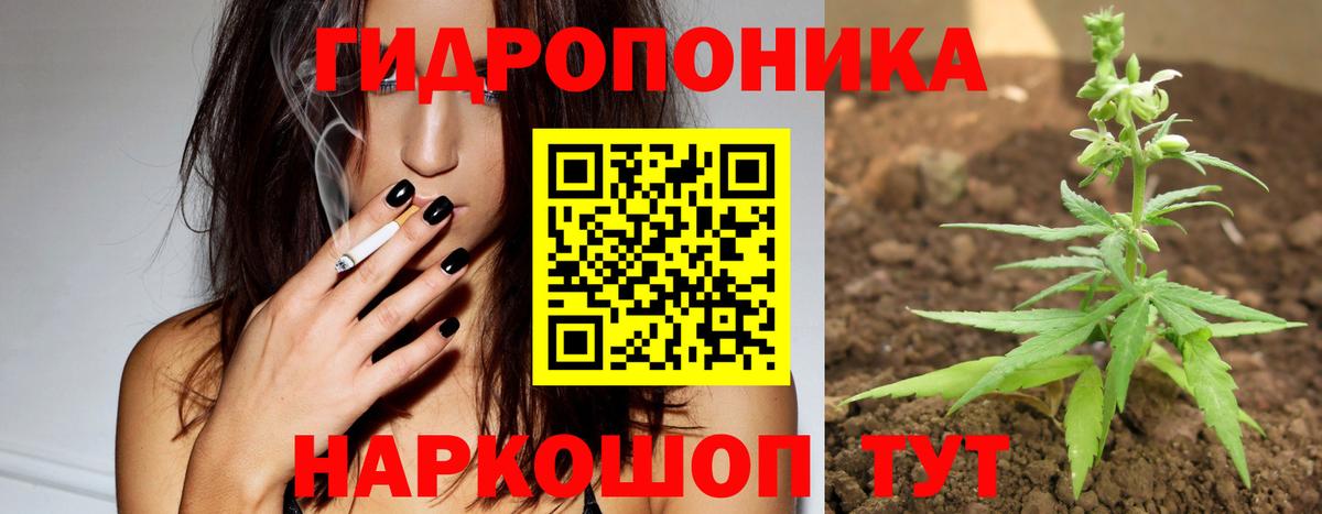 Баксан  Канабис Amnesia  Бошки Шишки конопля  Шишки марихуана MAZAR  Шишки марихуана конопля  Вход с VPN 
